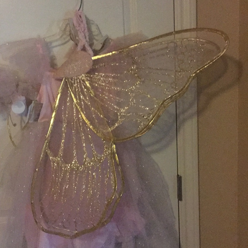 Pottery Barnes Fairy Costume 🥰😍💗💕